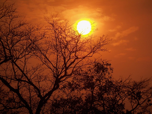 Von der idee zur umsetzung: Innovationsmanagement als teil der unternehmensstrategie